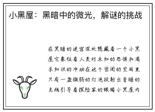 小黑屋：黑暗中的微光，解谜的挑战